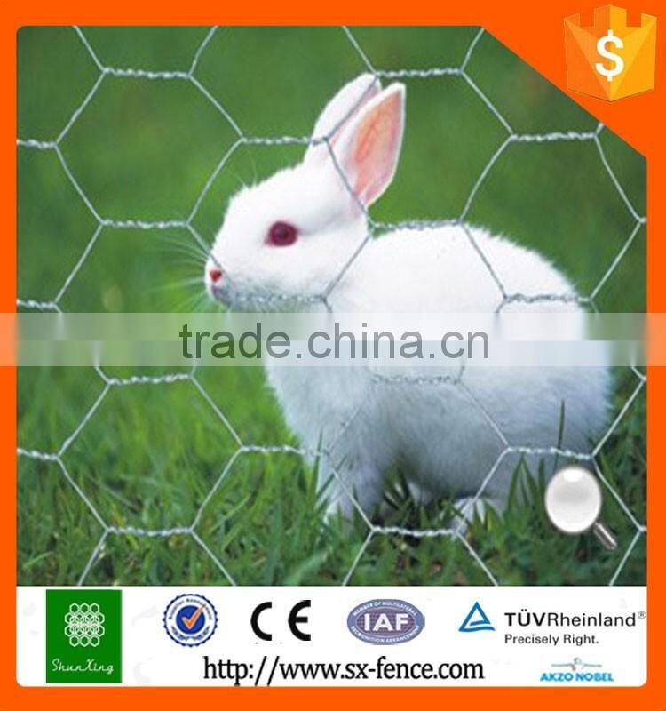 Anping Factory direct hexagonal wire netting with best price and quality