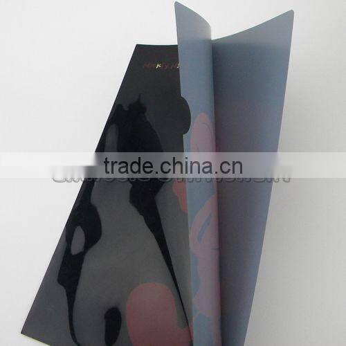 Colorful PPl file folder/E310