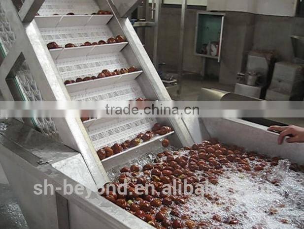 Complete Date Fruit Juice Processing Line
