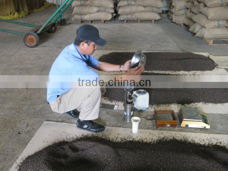 BLACK PEPPER FOR SELL