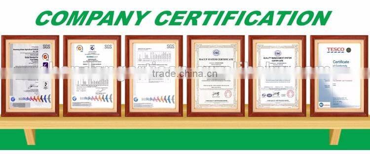 Good price of single clove garlic packing with ISO9001 certificate