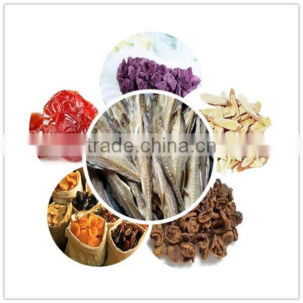 full-stainless and new design friut mesh belt dryer