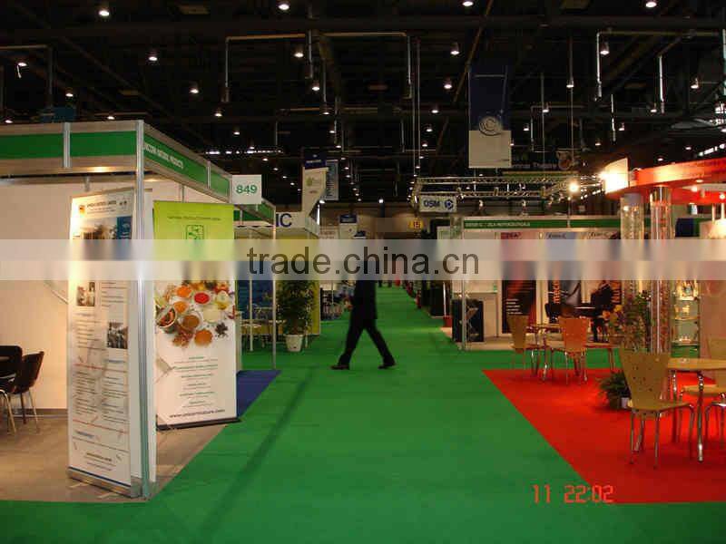 Curcumin Extract