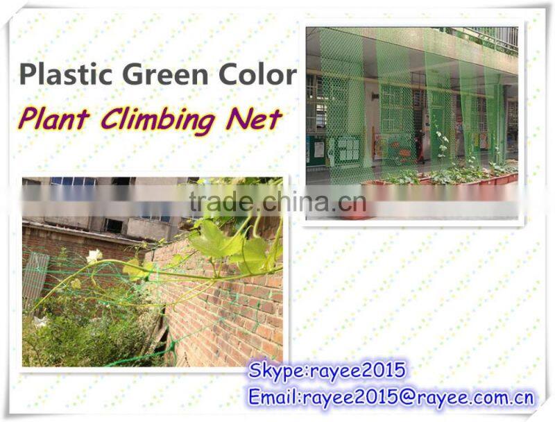 Climbing plant support trellis netting/plant support netting/fagioli e piselli rete