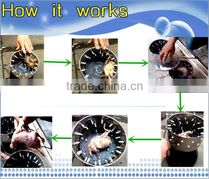 HHD best quality automatic poultry equipment prices and pictures