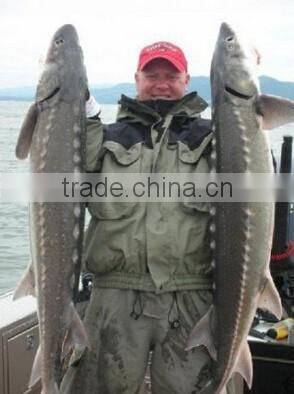 Essentials Big Horn Wading Jacket