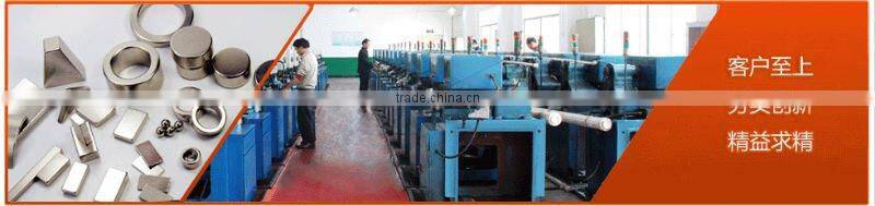 Permanent Interior Magnet Motor