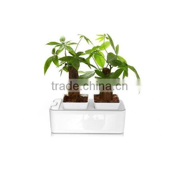 2014 newest office decoration mini smart garden