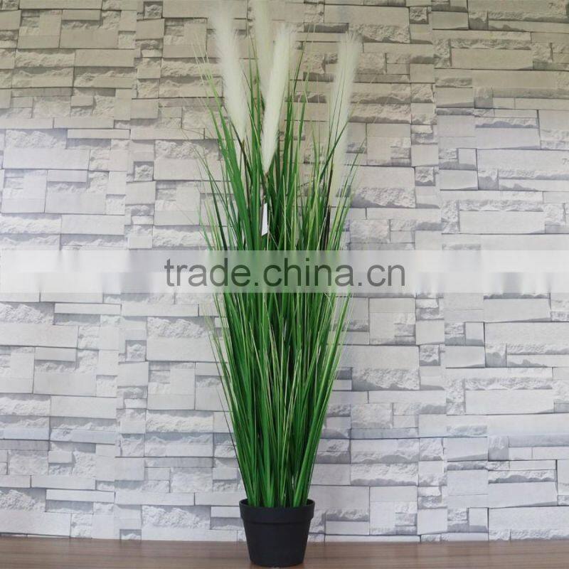 Decorative plastic reed