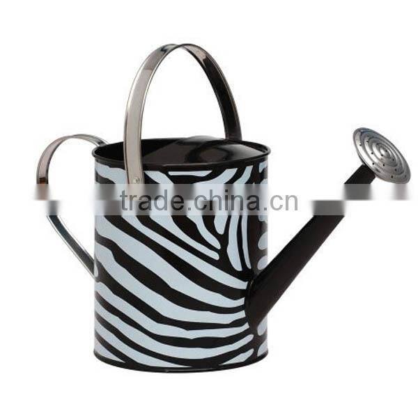 Colorful Mini Garden Metal Watering Can / Watering Pot