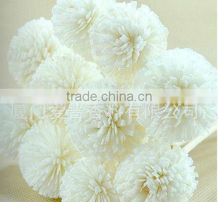 Natural Sola Flower Diffuser / Diffuser / Home decoration