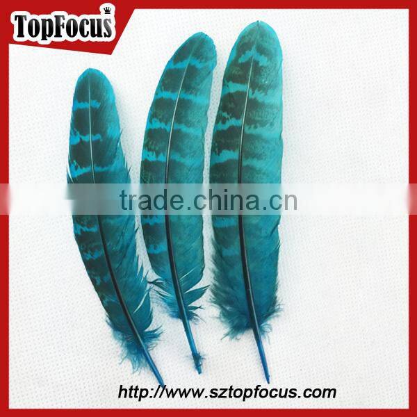 reeves cheap Natural Pheasant Tail Pheasant Feather for sale