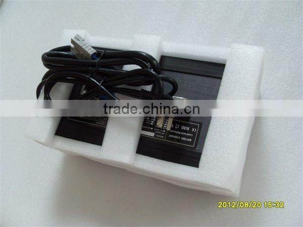 Lifepo4 Battery Charger for E-Boat