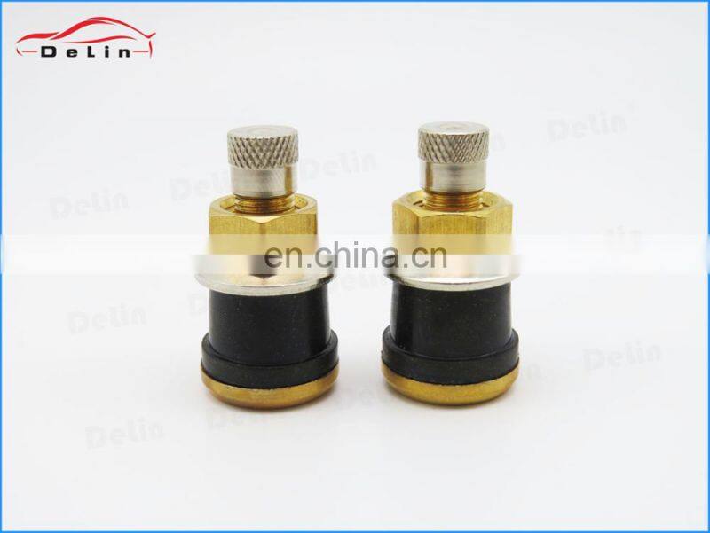 DeLin Europe quality best price snap-in valve tr500 truck tire valve