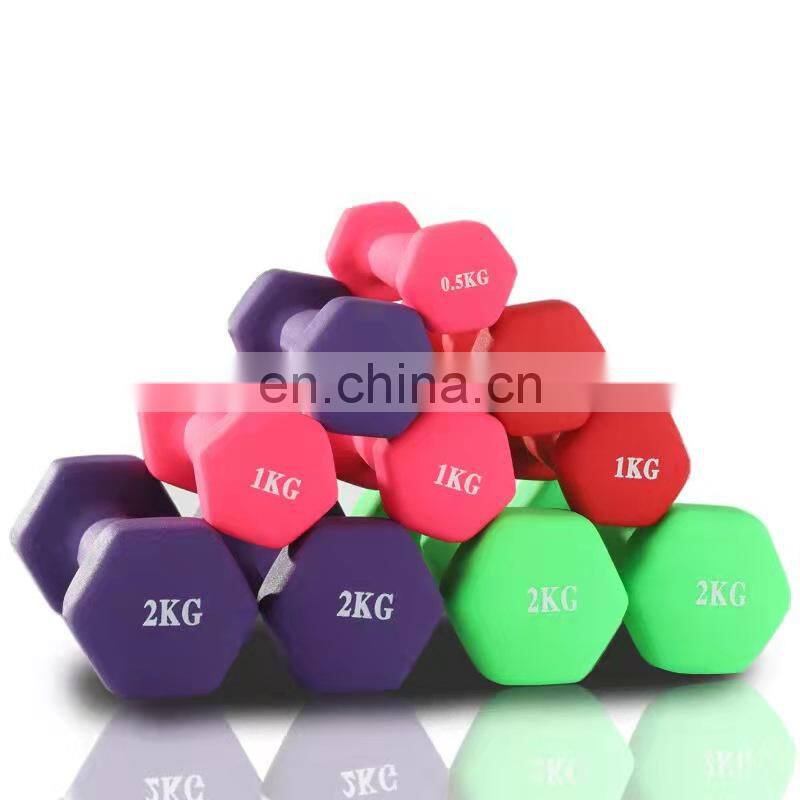 20kg Free Weight Lifting Gym Equipment Mancuernas 10Kg Weights Hantel Hexagon Hexagonal Dumbell Rubber Hex Dumbbells Sets