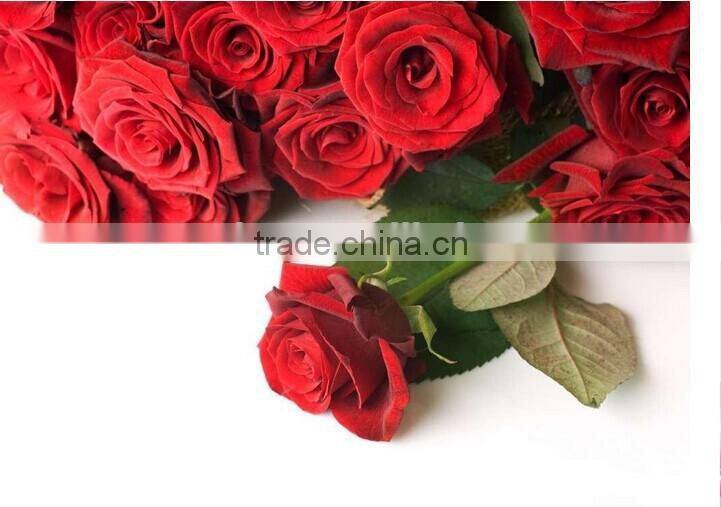 best v3 android tv box dual core android 4.2 tv box support bluetooth and wifi android tv box