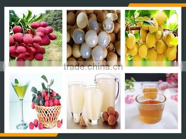 Leader excellent performance and popular litchi skin peeling equipment