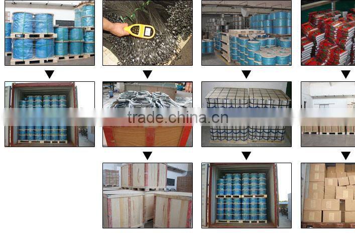 container adjustable tamper tell wire seal lock