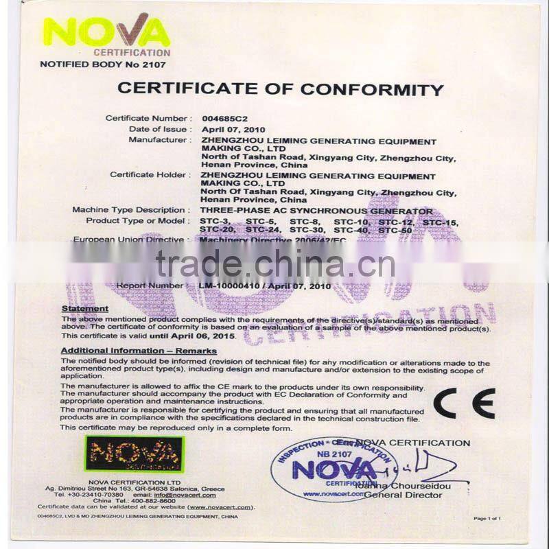 China famous brand 300kw diesel generator shanghai