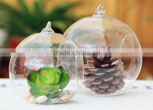 hand blown different types clear glass vase terrarium for home