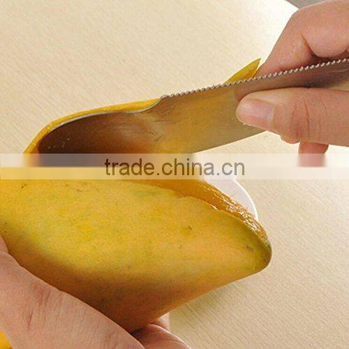 2 in 1 Stainless Stee Kiwi Peeler Fruit Knife Kiwi Parer