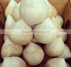 Good Quality Coconut scraper machine/ coconut sheller