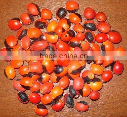 Huayruru Pure Red Natural Loose Seed Beads