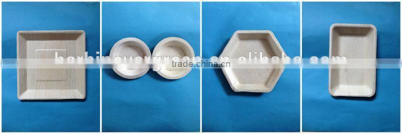 4''x4'' palm leaf dinnerware palm leaf plate