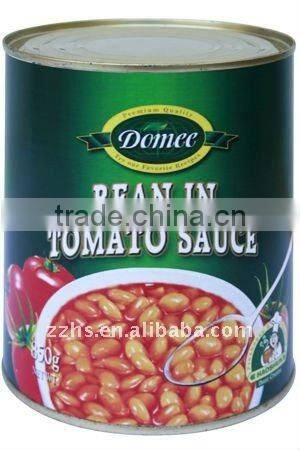 Canned Bake Beans in Tomato Sauce