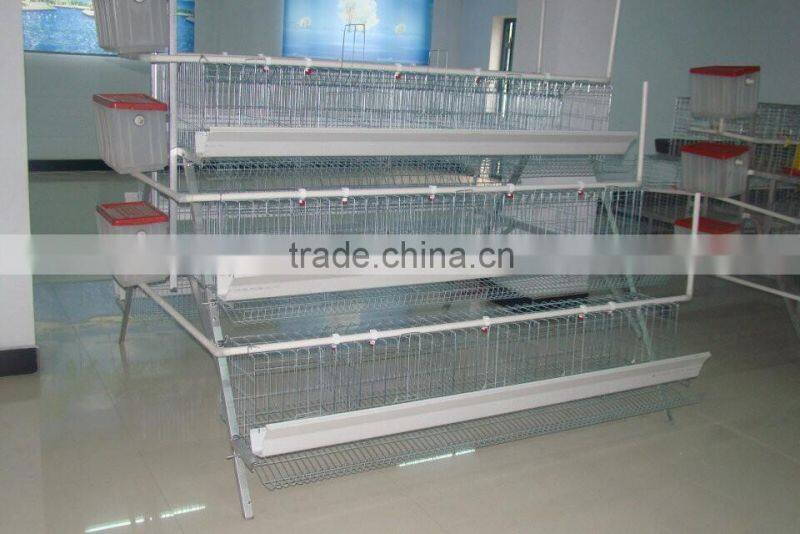 Commerial automatic chicken cage