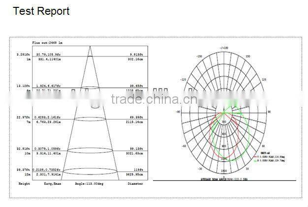 China top ten manufacturer of LED wall light 80W