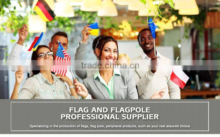 High Quality factory directly and lovely miniature wall flags