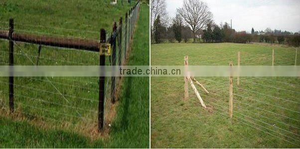 High Quality Animal Field Fence