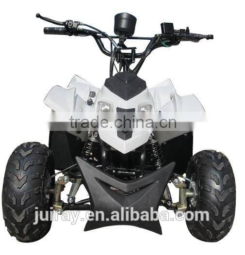 1000W 48V Chinese ATV for Sale