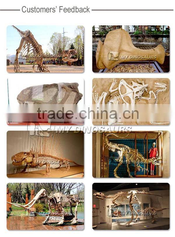 MY Dino-C058 Water park whale skeleton for sale