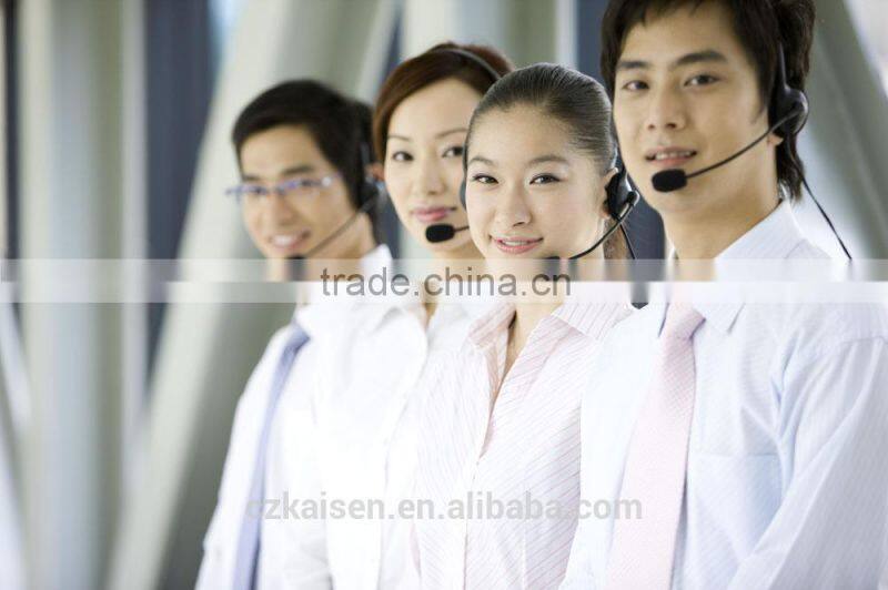 300W China style LVD energy saving induction circular tube with ballast