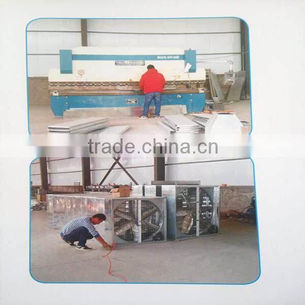 automatic piggery farming equipment