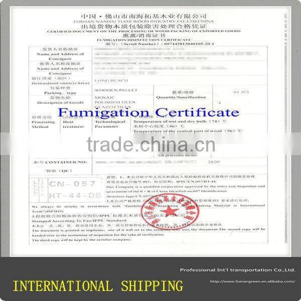 The Best Sea freight forwarding agents in Shanghai Shipping to worldwide