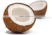 Husked coconuts from tamilnadu