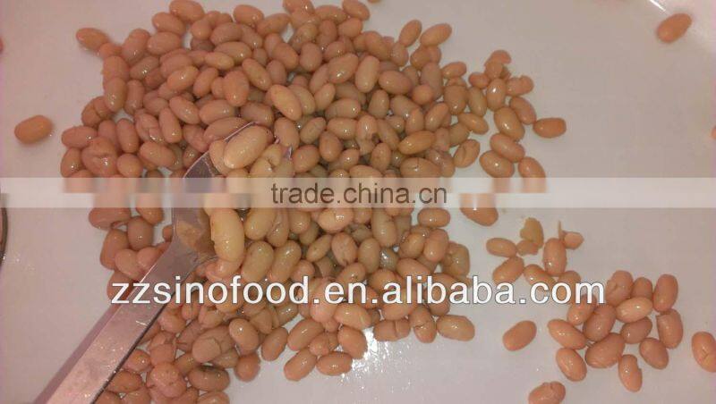 Supply Canned White Kidney Beans in Brine High Quality