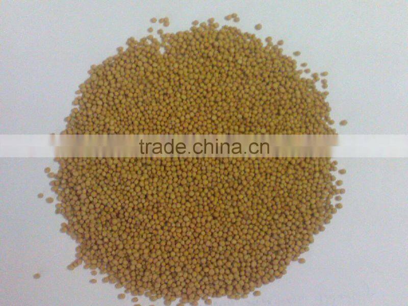 Spices Whole - Mustard Seeds Yellow