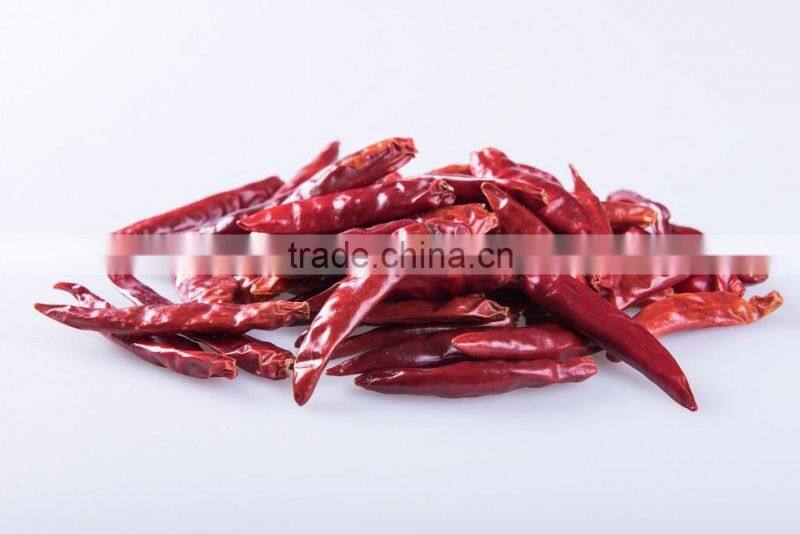 International Price Dried Hot Red Chilli Pepper