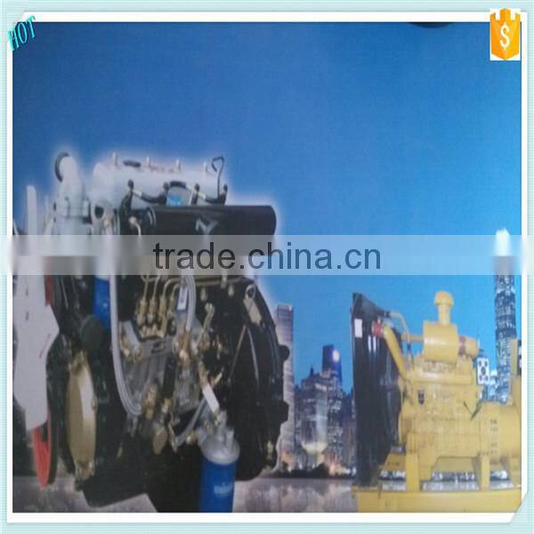 2015 Wholesale Multi-cylinder Diesel Engine