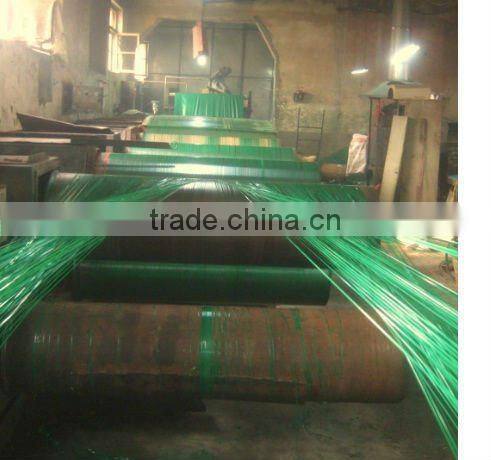 Fruit PP shinny color Mesh bag