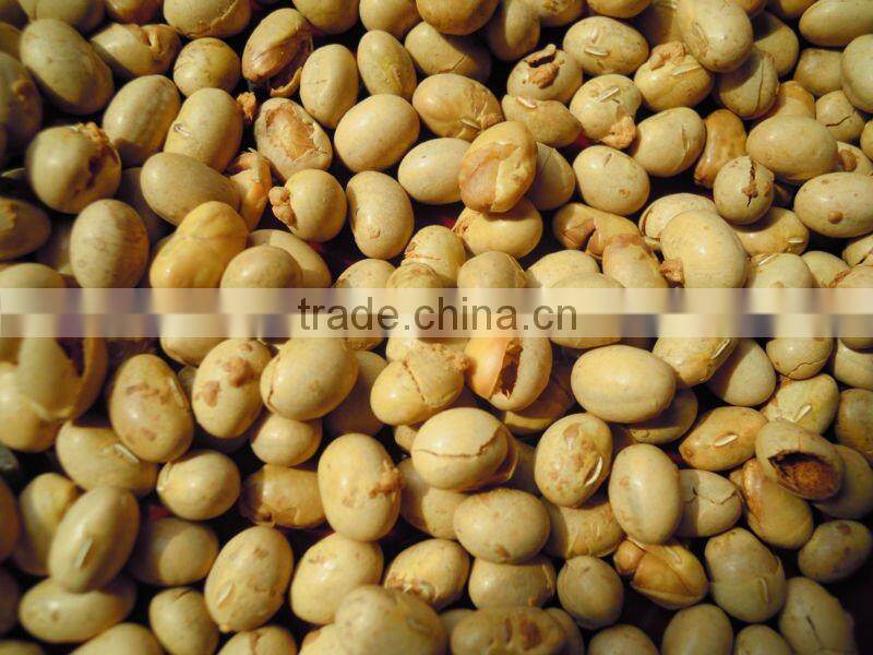 instant organic roasted soybean