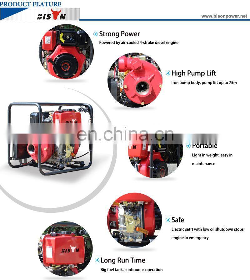 BISON(CHINA) BSD30I 3Inch Diesel Iron Water Pump