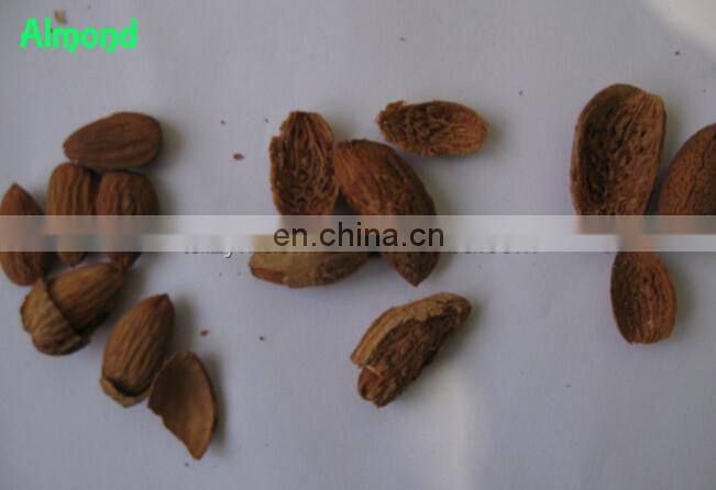 Good Quality Pistachio Peanut Cutter Nut Chopper Badam Strips Cutting Cashew Almond Chopping Nut Crushing