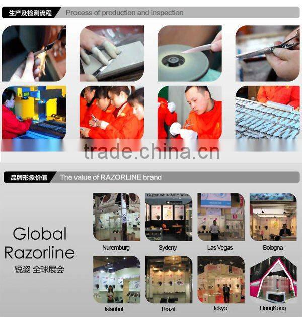 Razorline HSK48 Original HITACHI Steel Chinese Style Hair Scissor