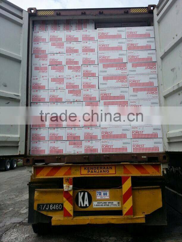 Floral Foam,florist product,wet floral foam deluxe floral foam