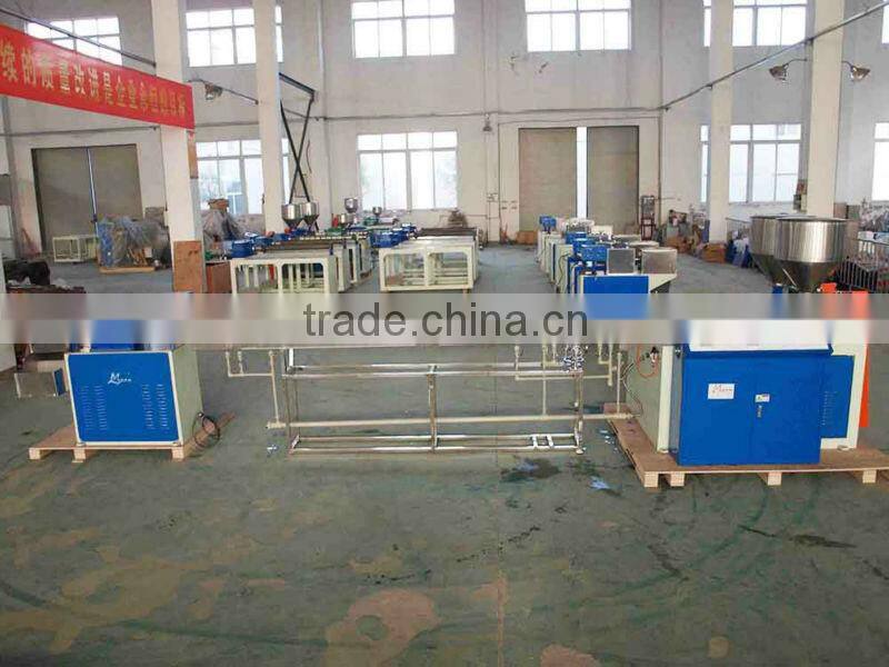 ML12A Drinking Straw Co-extruder